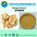 Top quality dried ginger extract,ginger seeds extract,gingerol 3% 5%